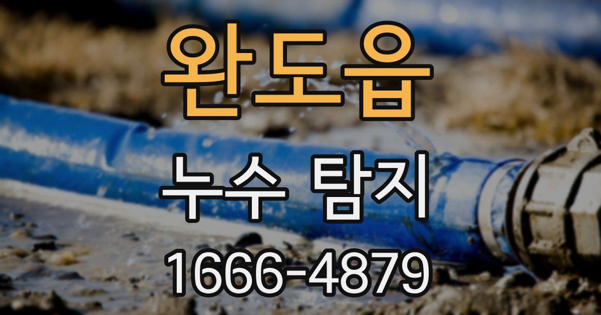 완도읍 누수 탐지