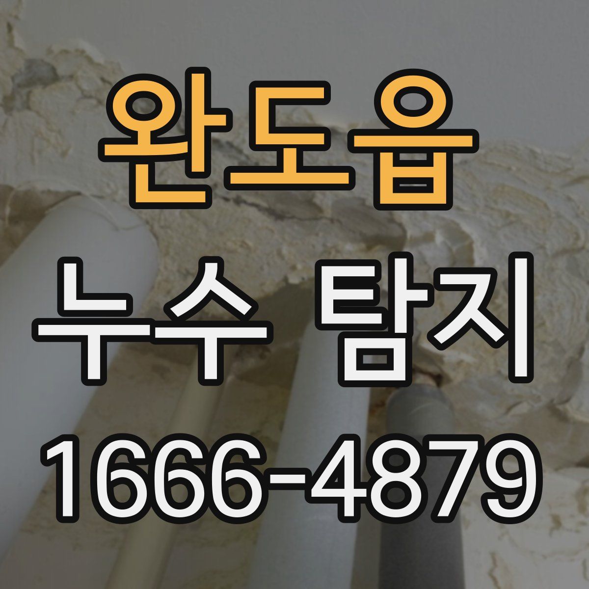 완도읍 누수 탐지