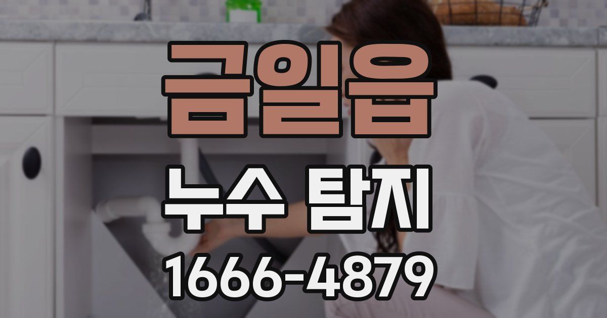 금일읍 누수 탐지