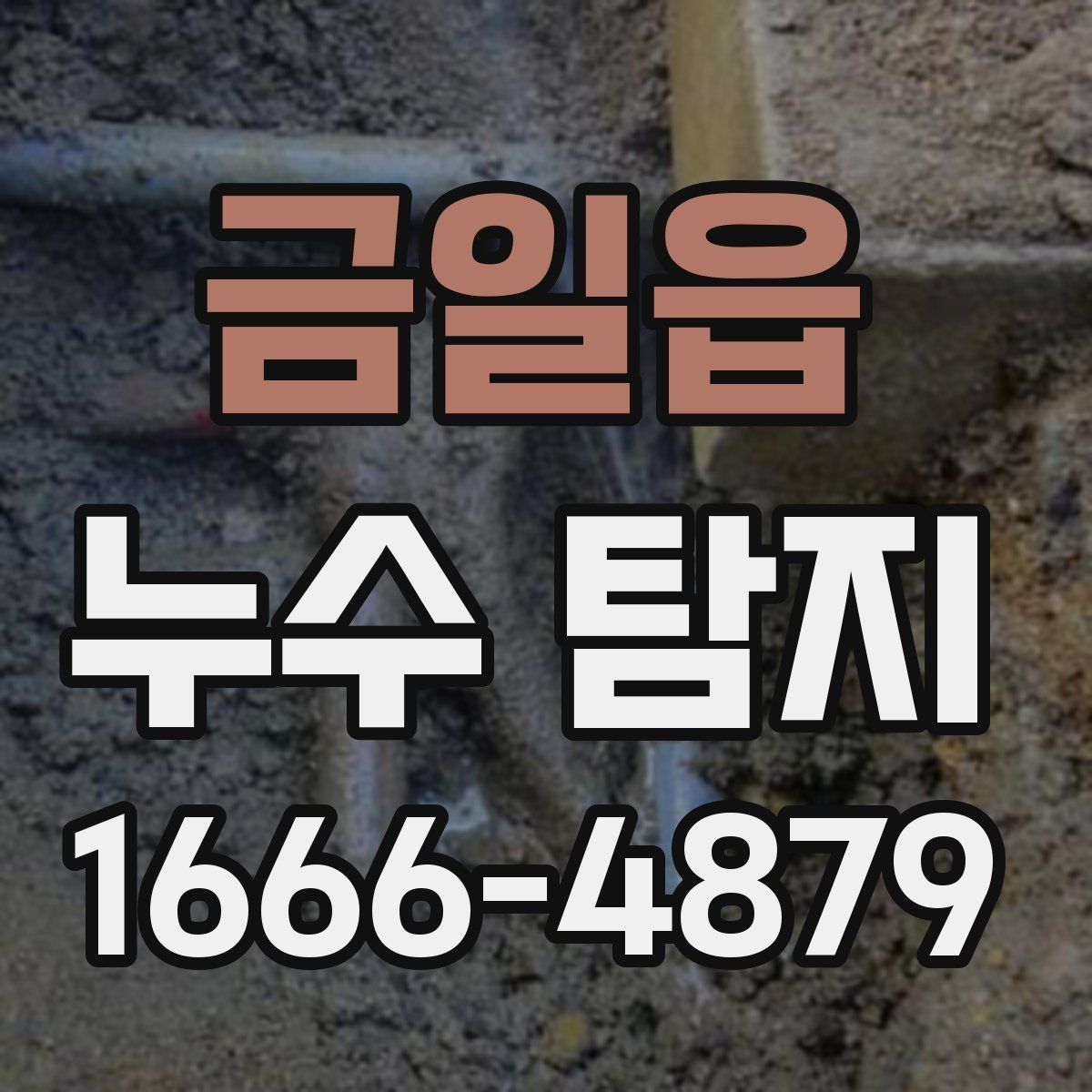 금일읍 누수 탐지