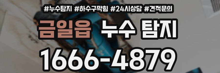 금일읍 누수 탐지