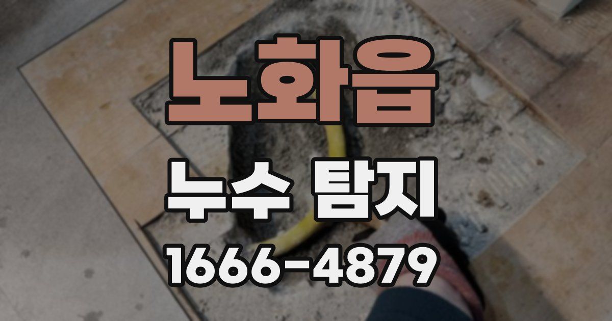 노화읍 누수 탐지