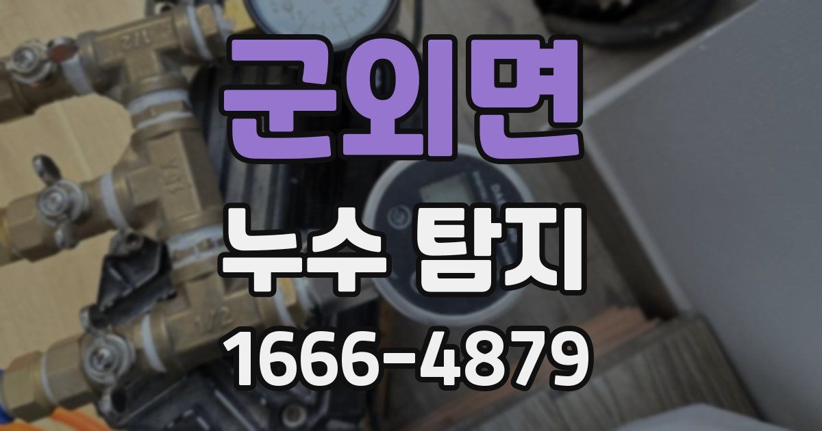 군외면 누수 탐지