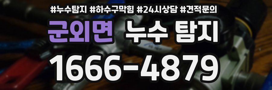 군외면 누수 탐지