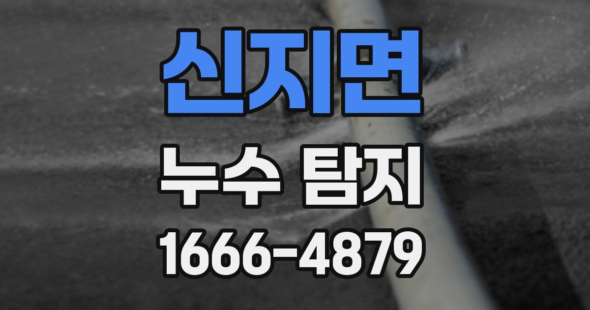 신지면 누수 탐지