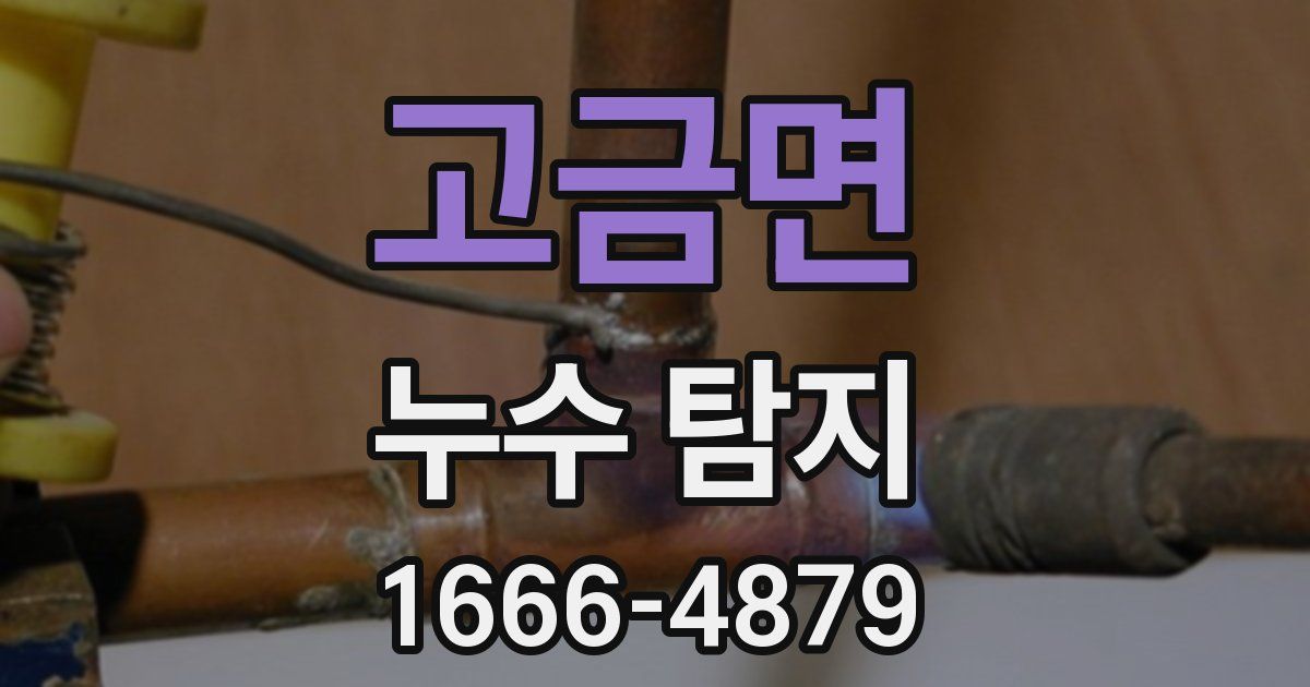 고금면 누수 탐지