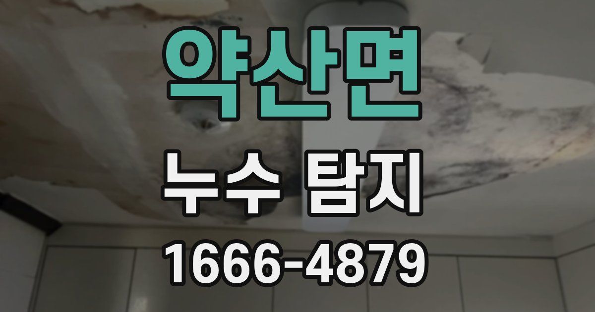 약산면 누수 탐지