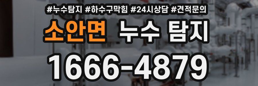 소안면 누수 탐지