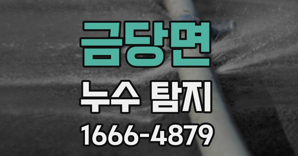 금당면 누수 탐지