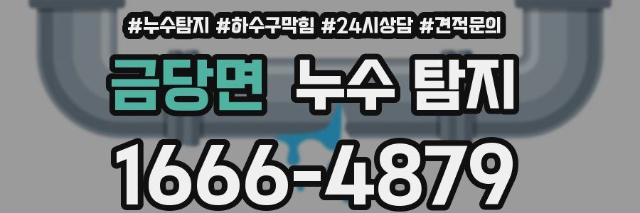 금당면 누수 탐지