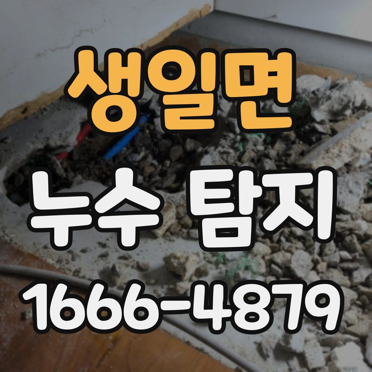 생일면 누수 탐지
