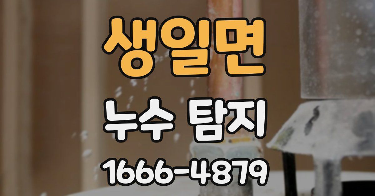 생일면 누수 탐지