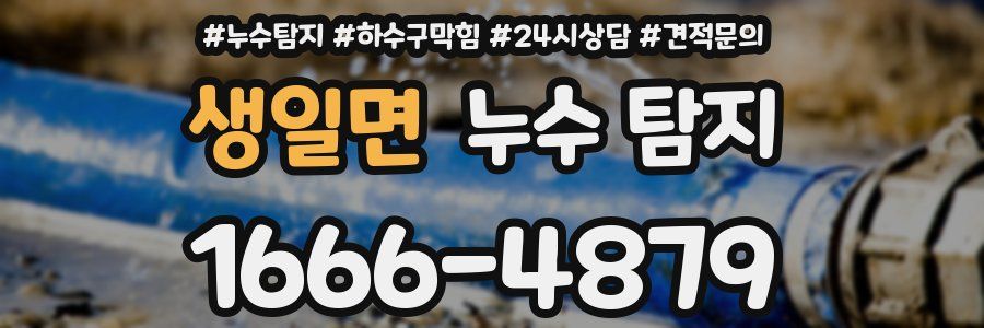 생일면 누수 탐지