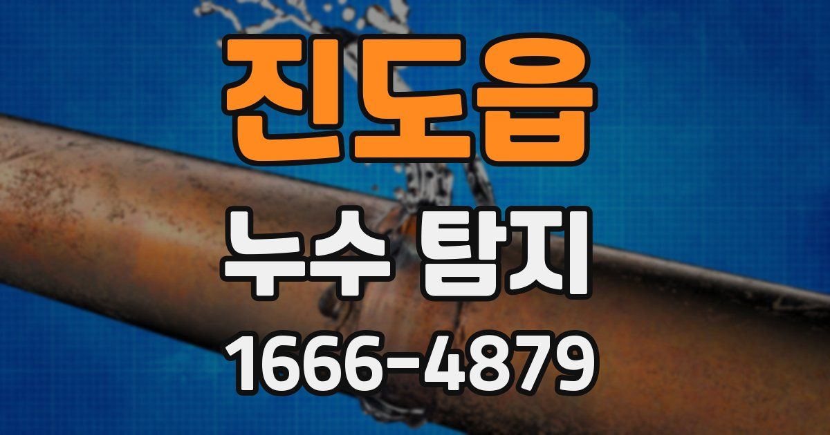 진도읍 누수 탐지
