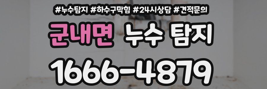 군내면 누수 탐지