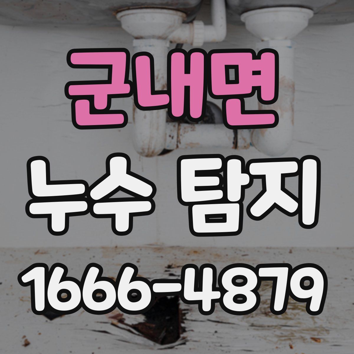 군내면 누수 탐지