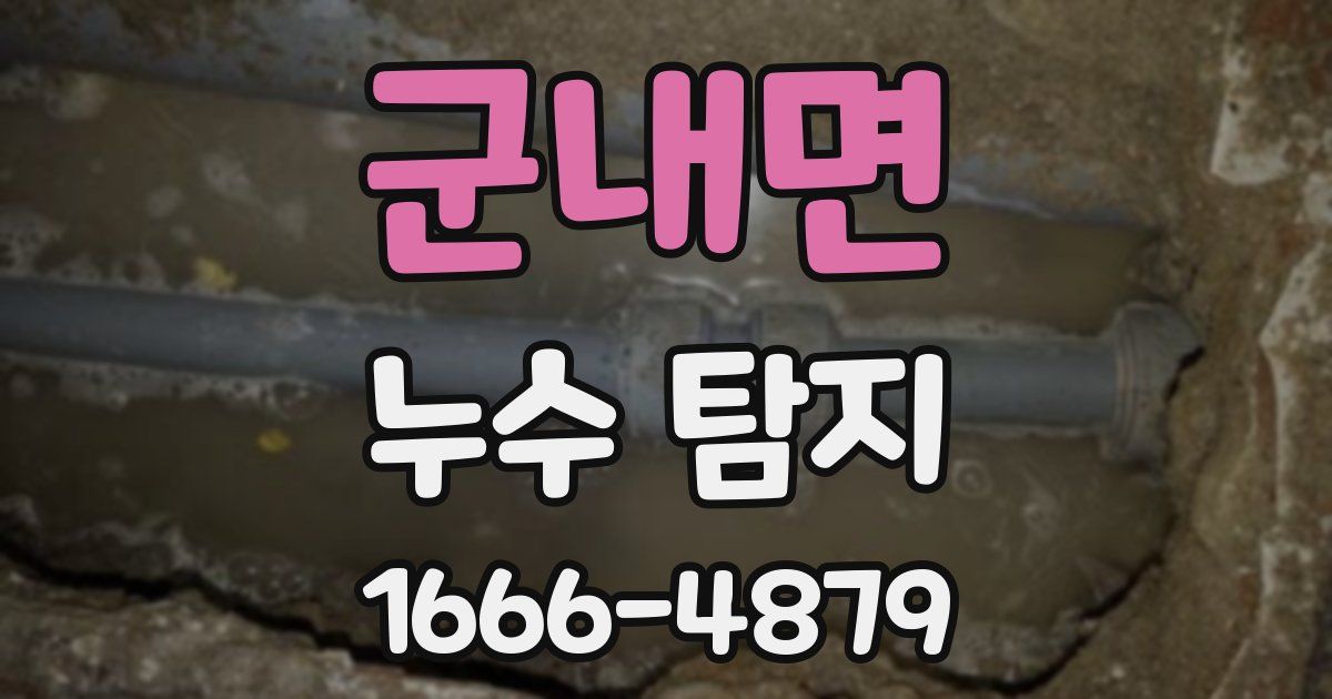 군내면 누수 탐지