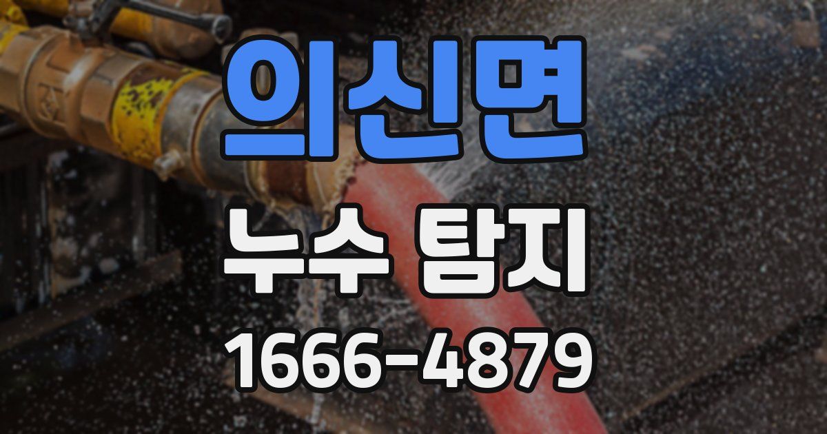 의신면 누수 탐지