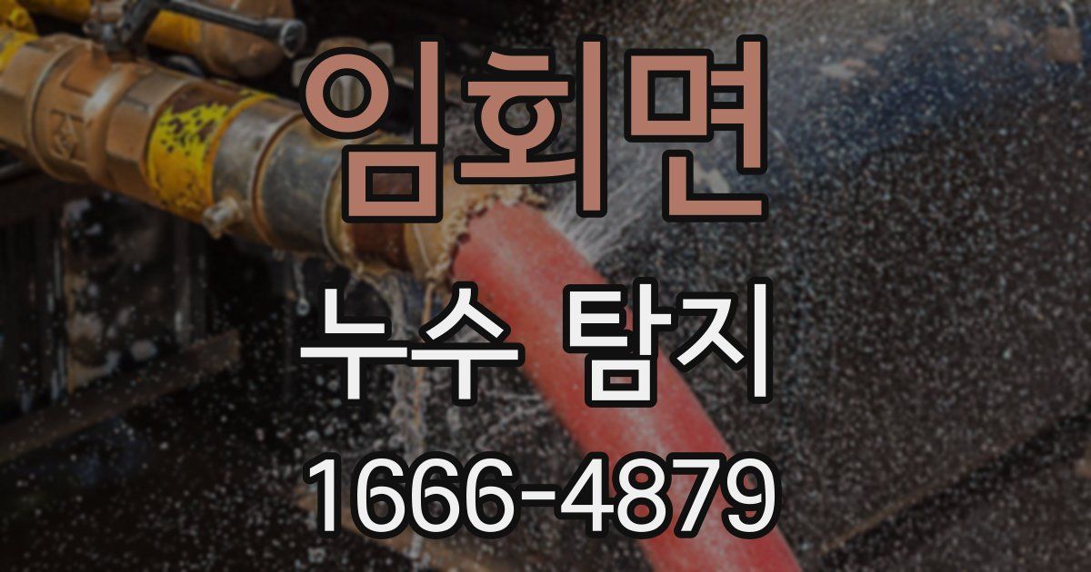 임회면 누수 탐지