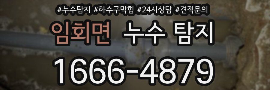 임회면 누수 탐지