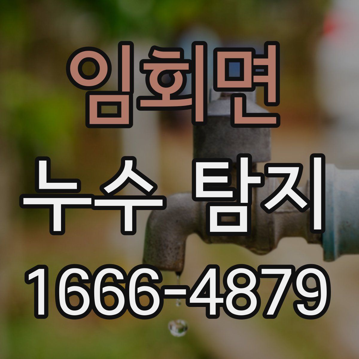 임회면 누수 탐지