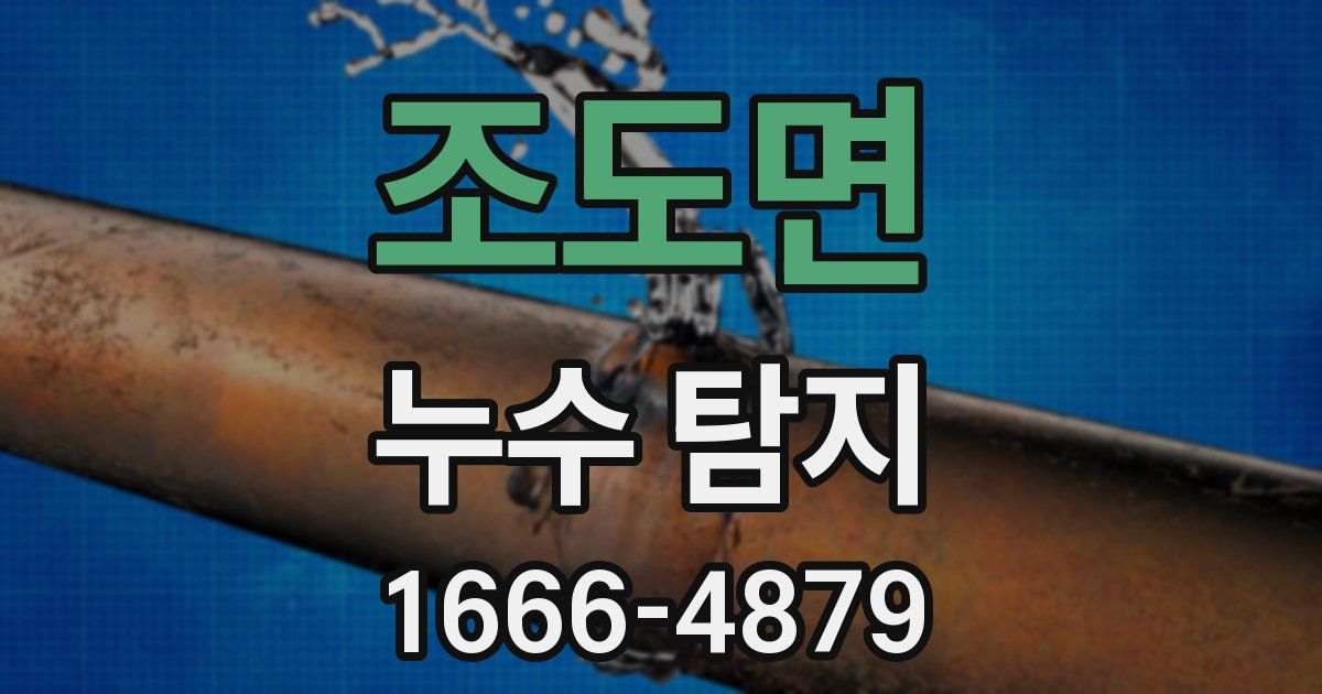 조도면 누수 탐지
