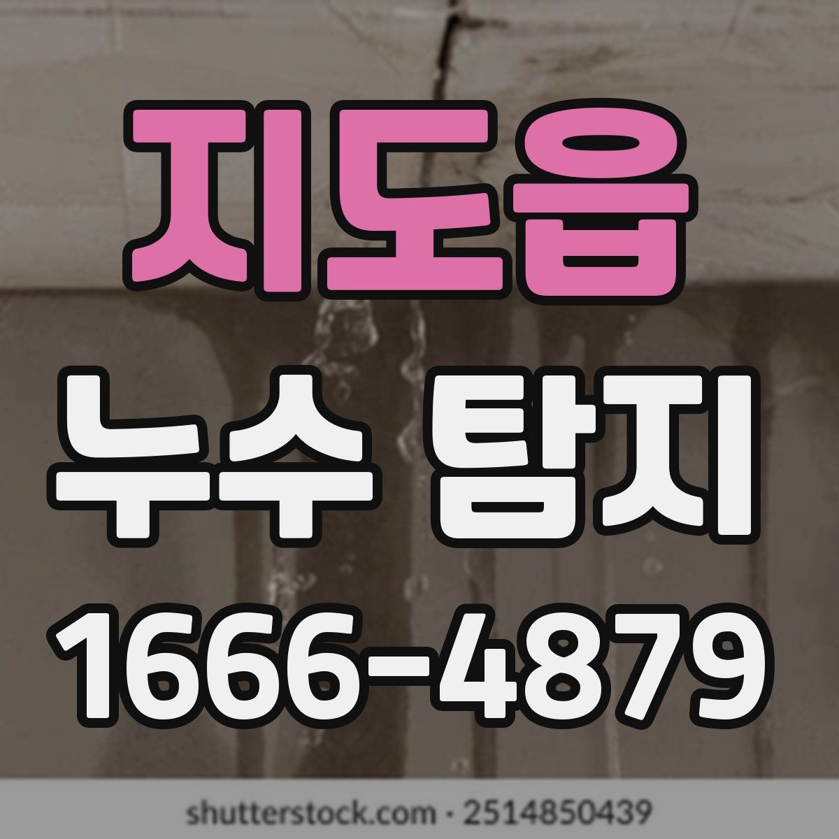 지도읍 누수 탐지