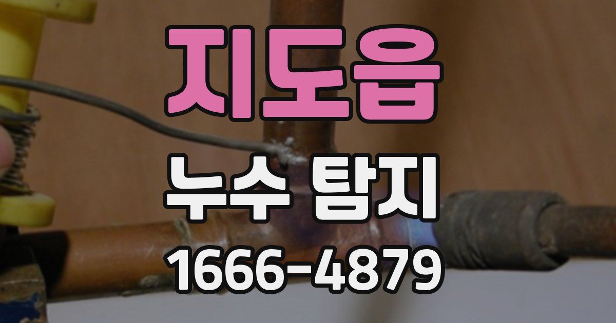 지도읍 누수 탐지