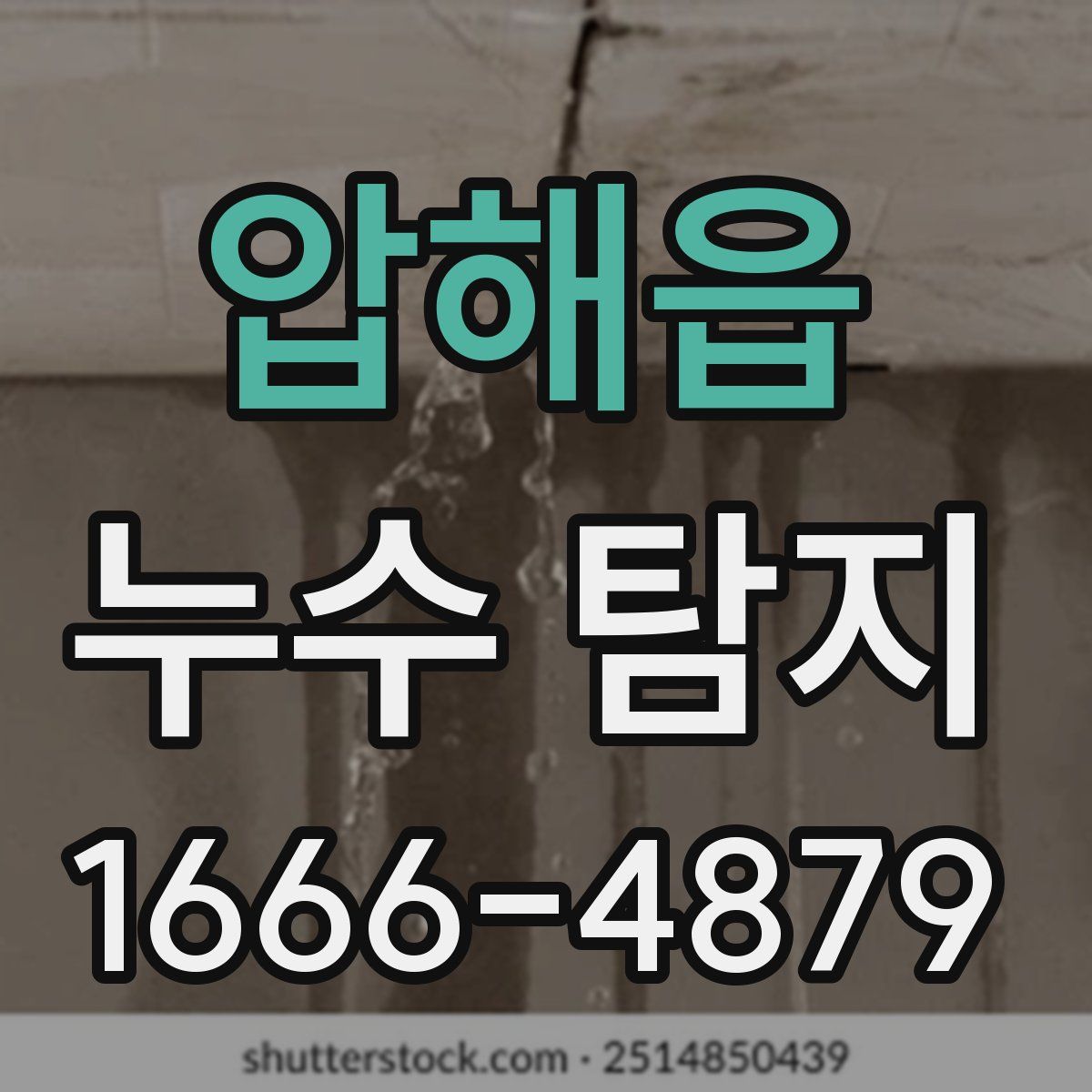 압해읍 누수 탐지