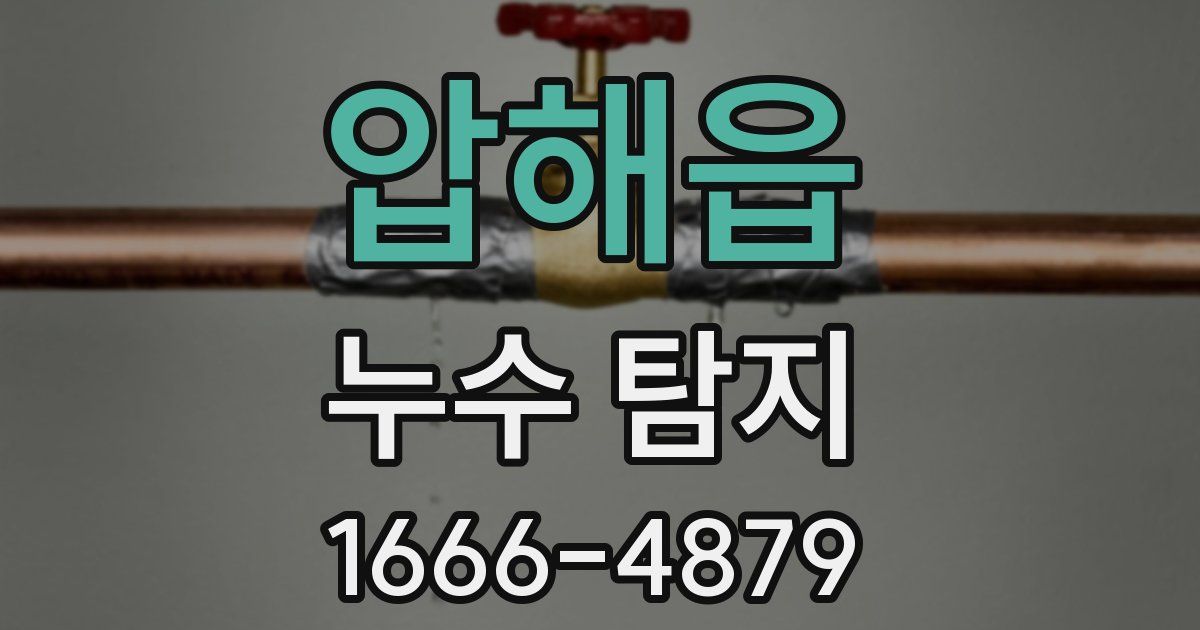 압해읍 누수 탐지