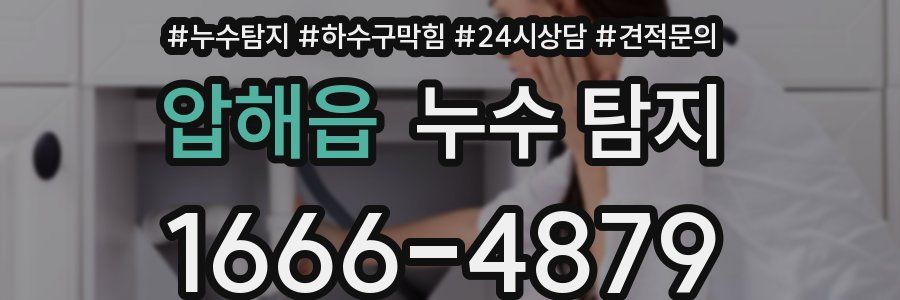 압해읍 누수 탐지