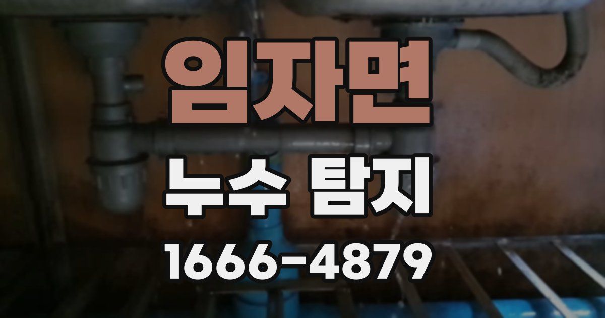 임자면 누수 탐지