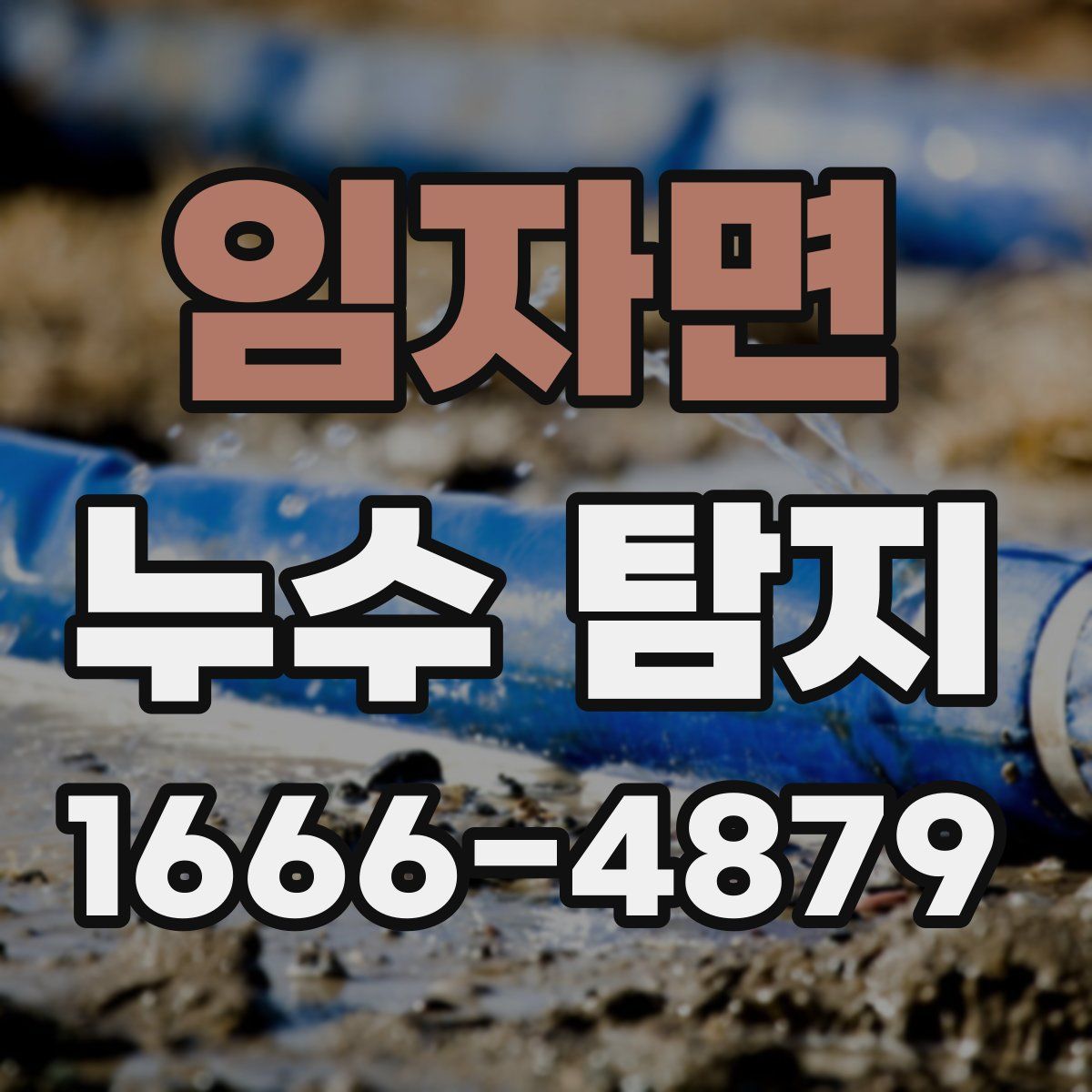 임자면 누수 탐지