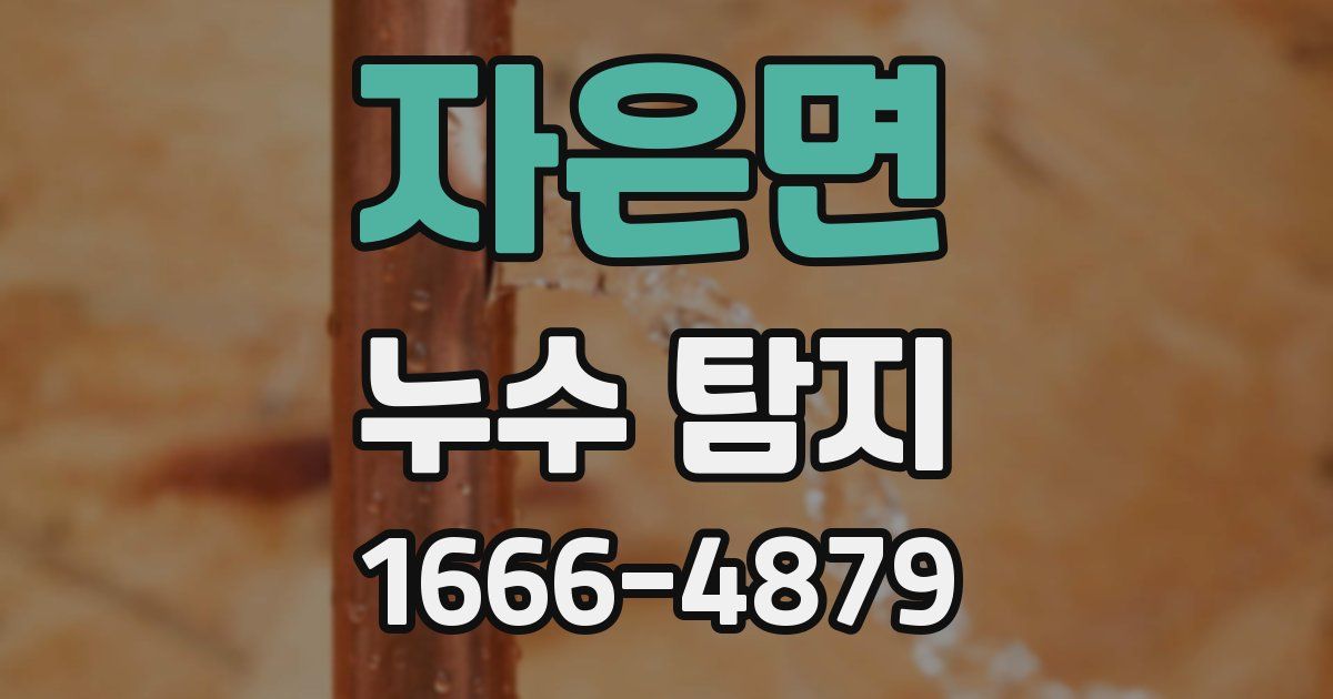 자은면 누수 탐지