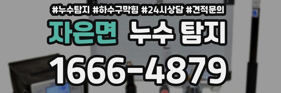 자은면 누수 탐지