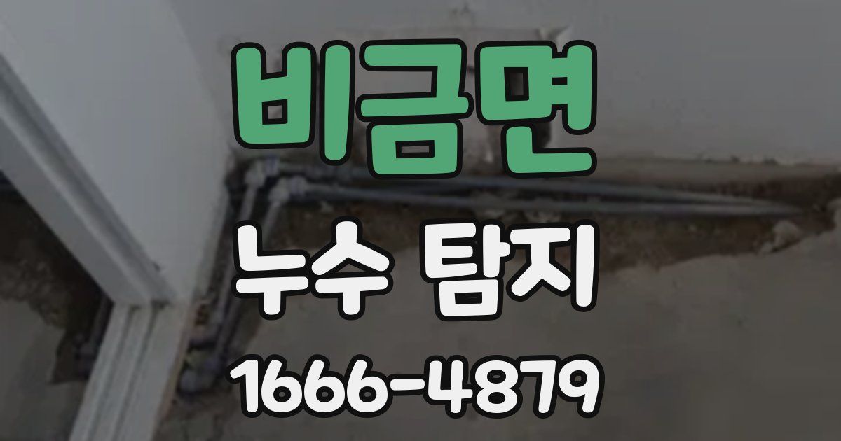 비금면 누수 탐지