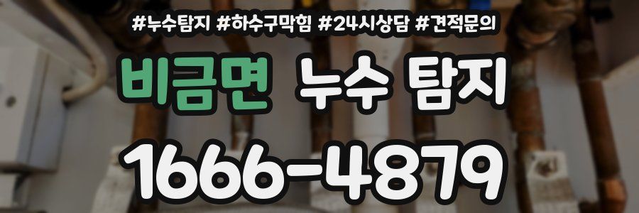 비금면 누수 탐지