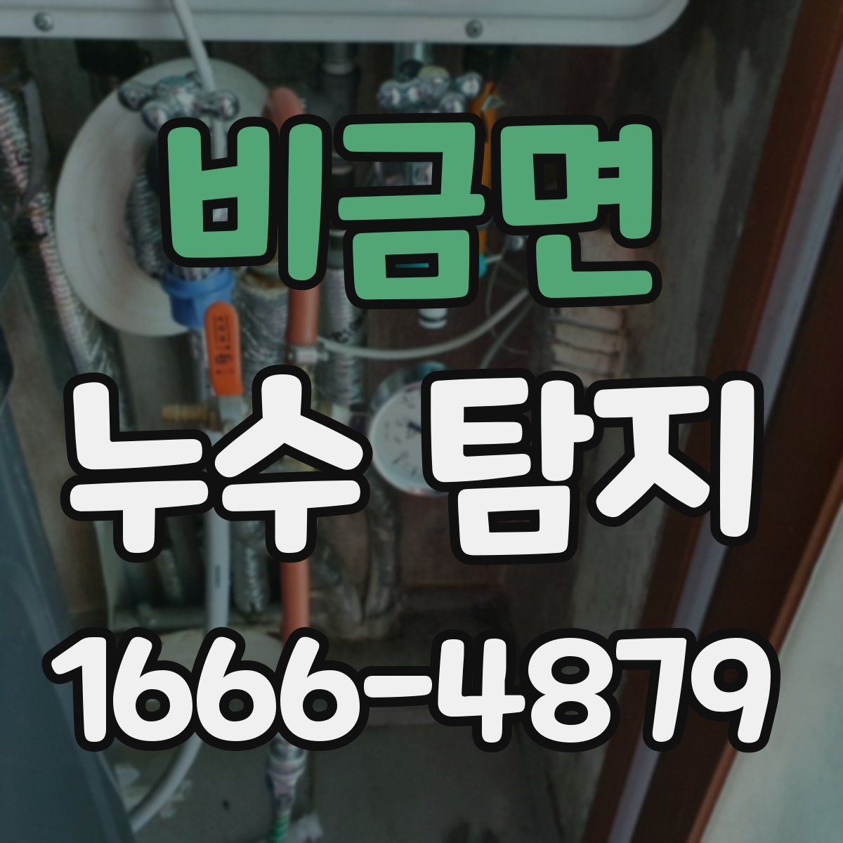 비금면 누수 탐지