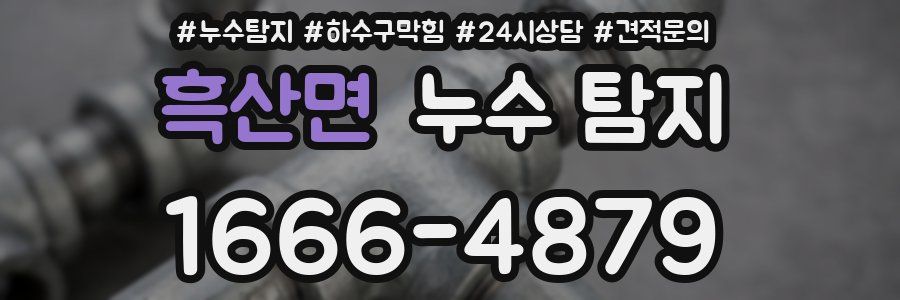 흑산면 누수 탐지
