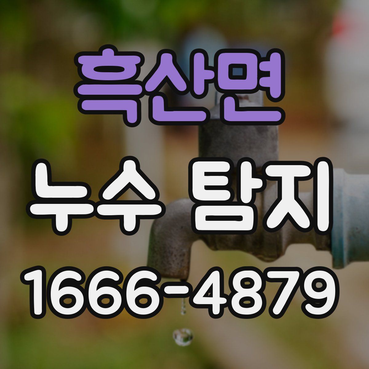 흑산면 누수 탐지