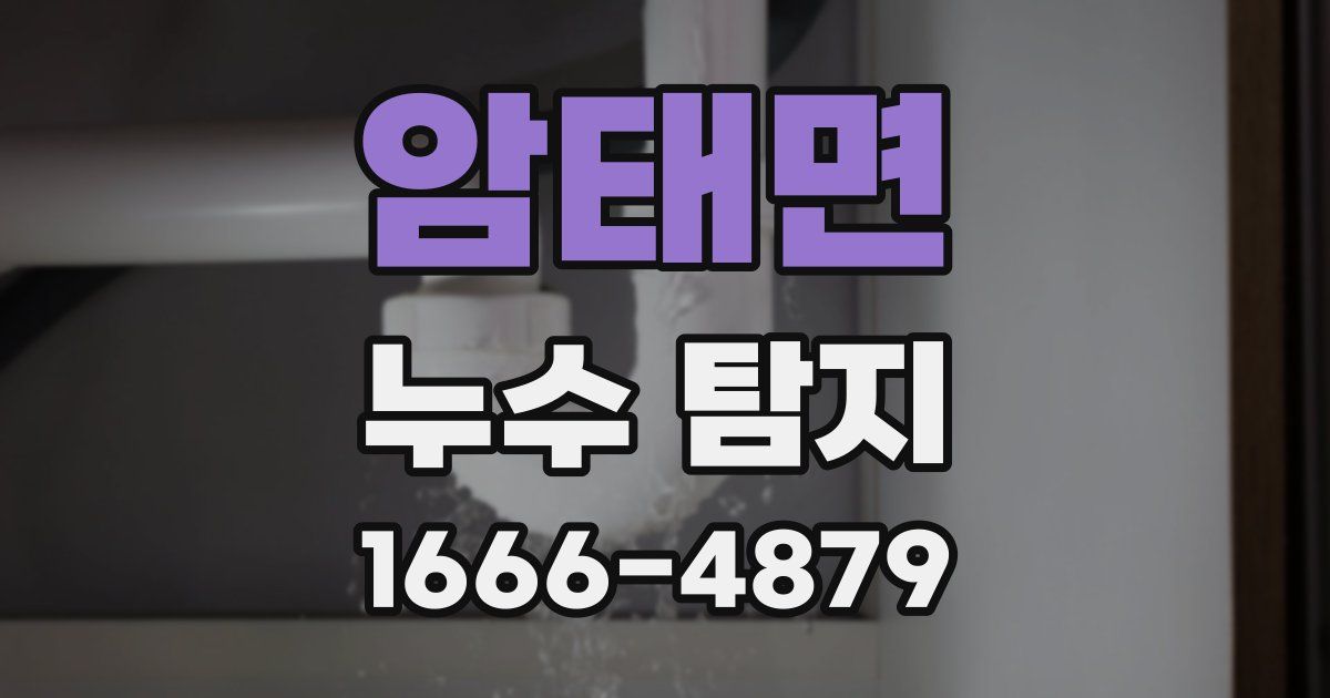 암태면 누수 탐지