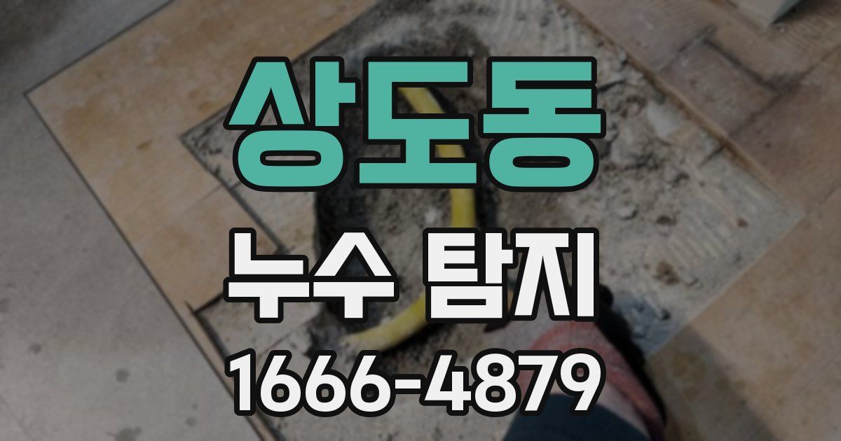상도동 누수 탐지
