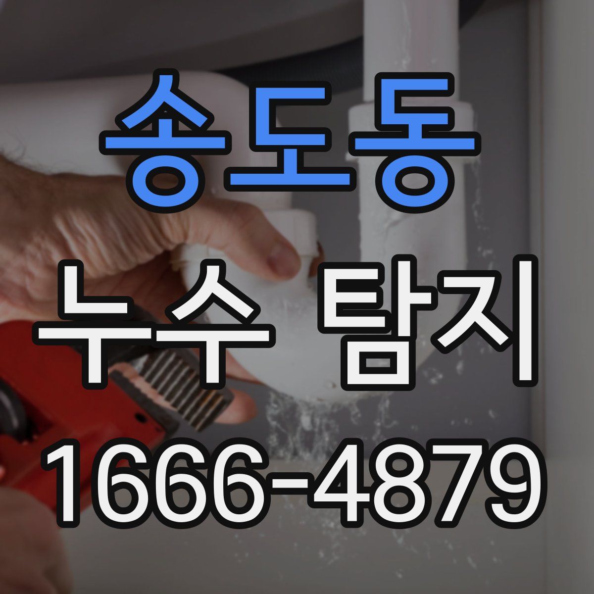 송도동 누수 탐지