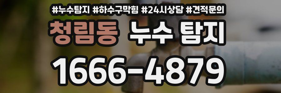 청림동 누수 탐지