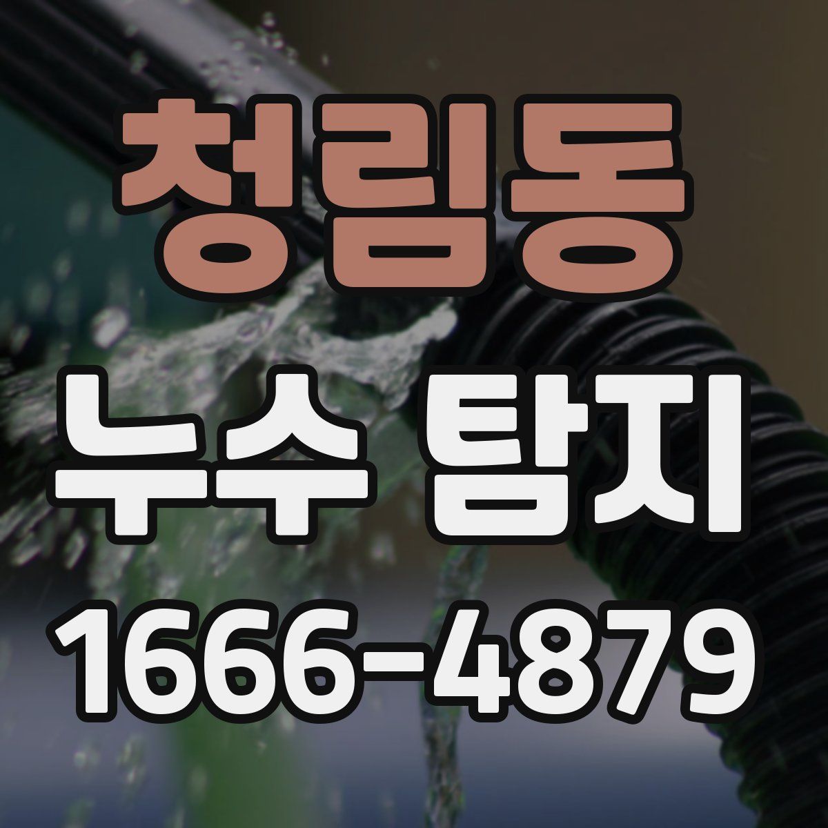 청림동 누수 탐지