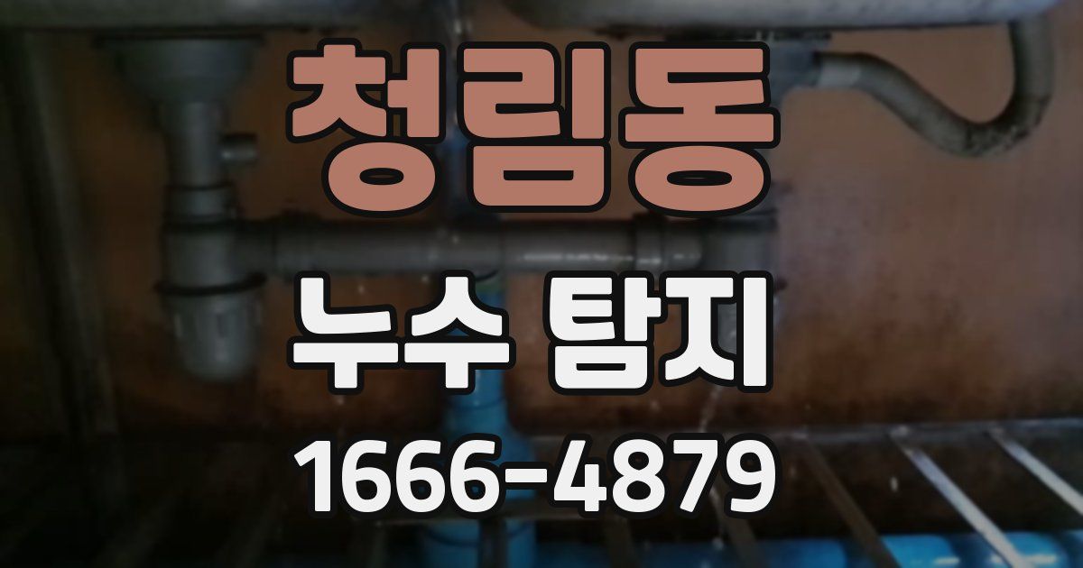 청림동 누수 탐지