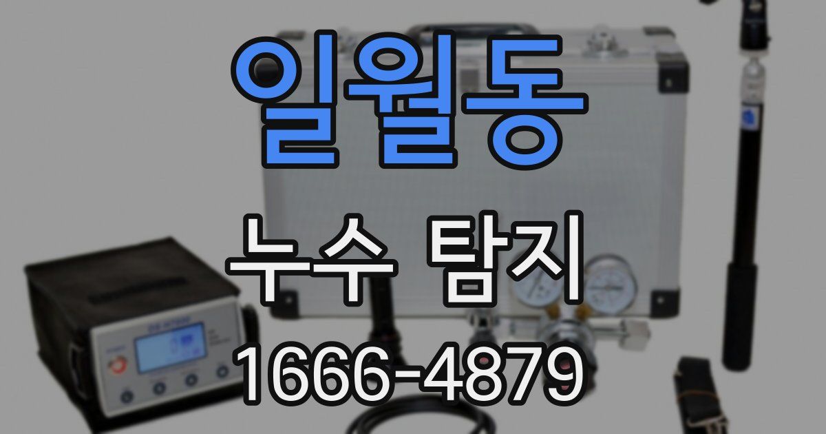 일월동 누수 탐지