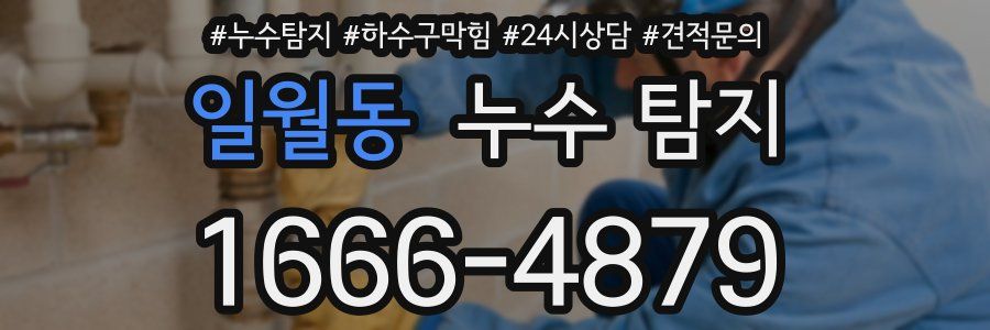 일월동 누수 탐지