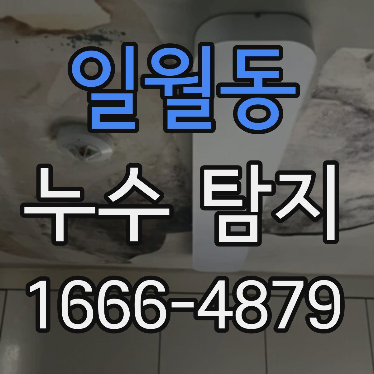 일월동 누수 탐지