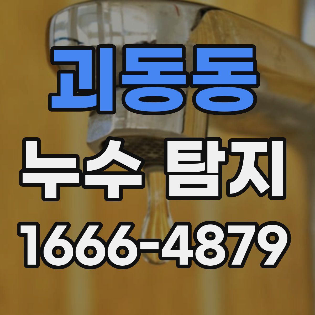 괴동동 누수 탐지